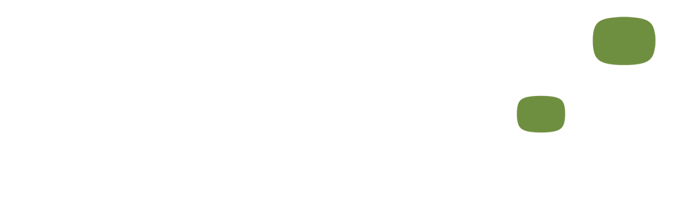 portify_fleet_intelligence_white_transparent_1000